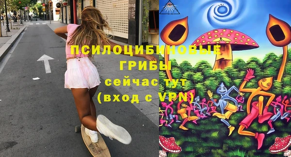 эйфоретик Арсеньев