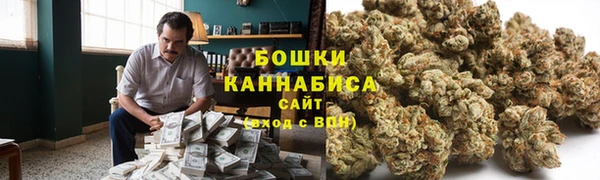 трава Армянск