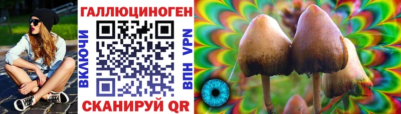 Галлюциногенные грибы Cubensis  Купить  Хасавюрт 